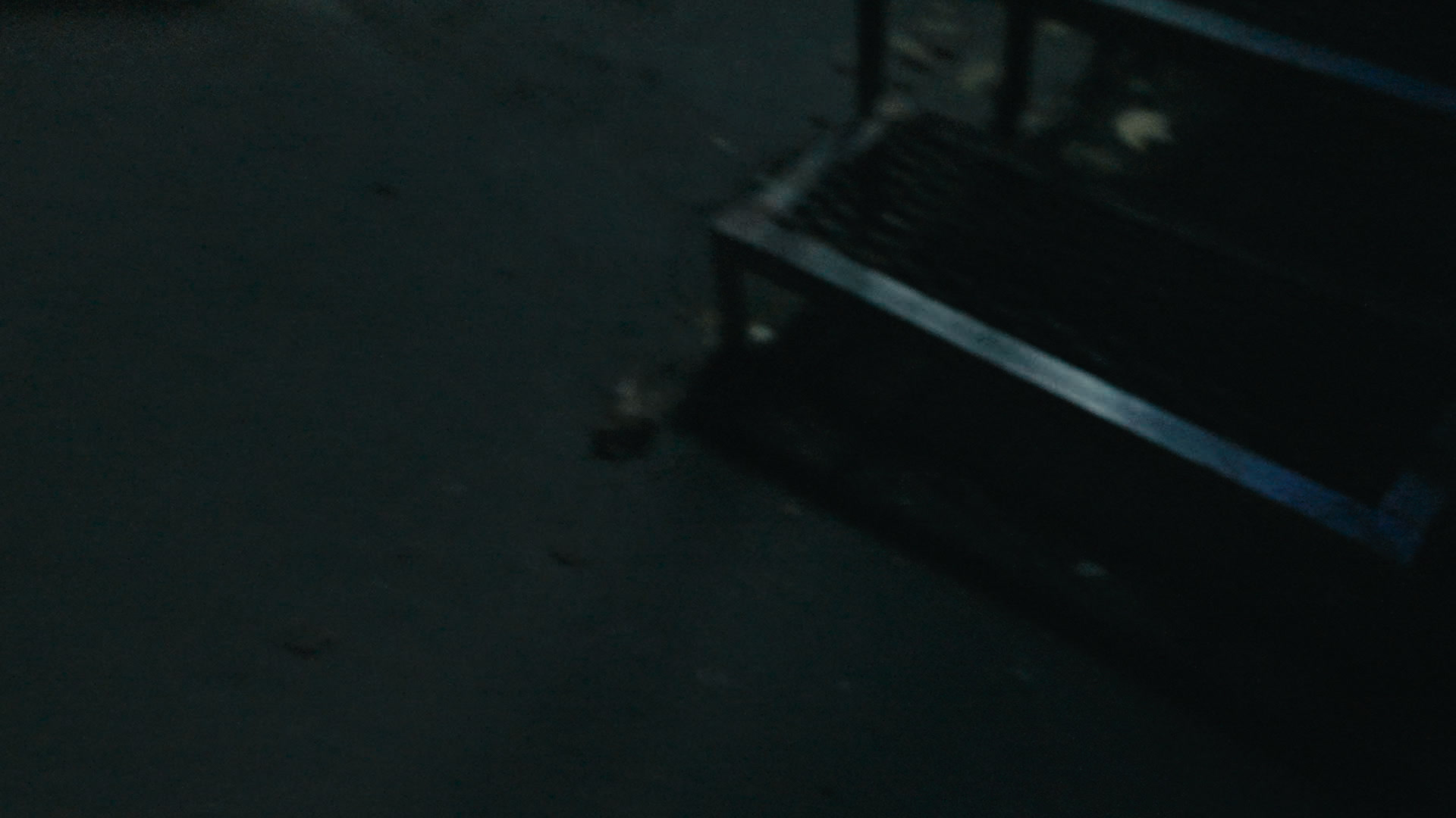 Keyframe: ZV-E1 20251029_0495